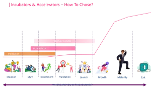 Choosing Between Accelerators and Incubators