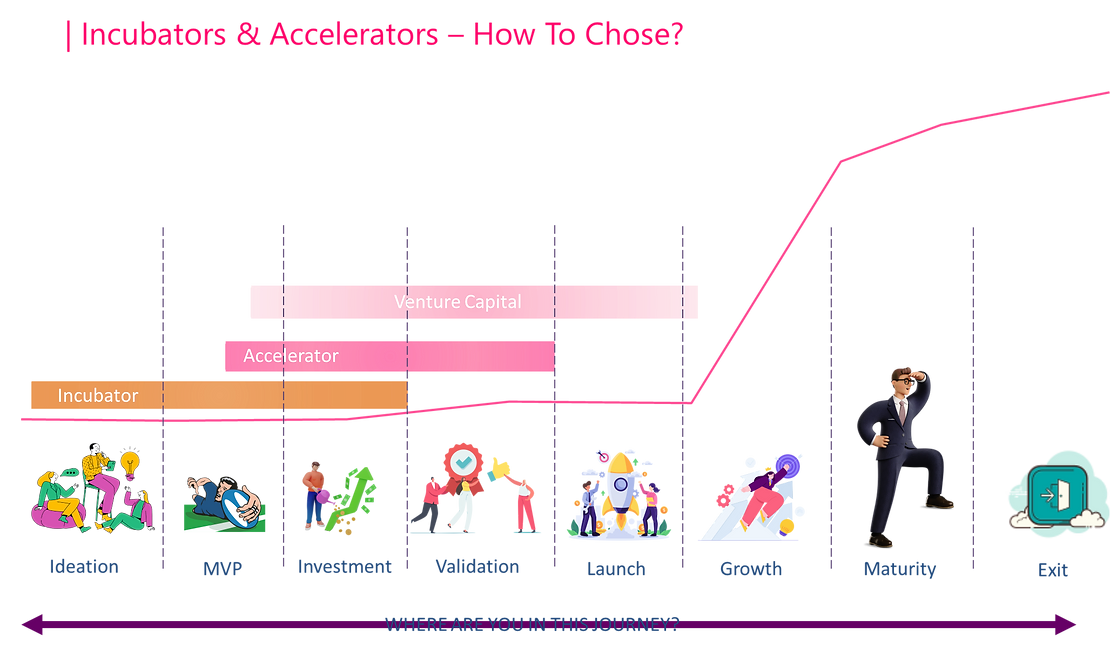 Choosing Between Accelerators and Incubators