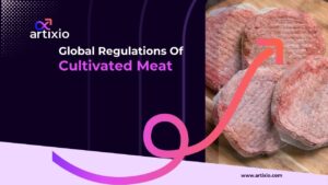 Global Regulation of Cultivated Meat