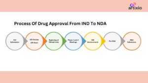 Process of drug approval from IND to NDA