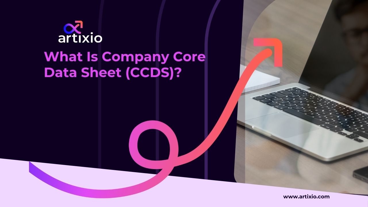 What Is Company Core Data Sheet (CCDS)?