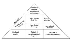 Structure And Components Of eCTD 